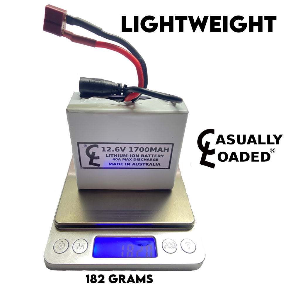 lightweight 12 volt lithium-ion battery